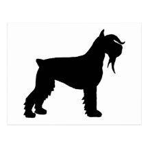 Fancy Giant Schnauzer Postcard