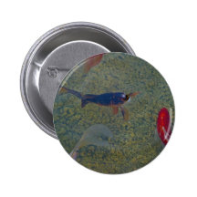 fancy gold fish button