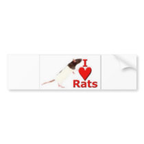 Fancy Hooded Bumper Sticker