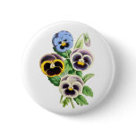 Fancy Pansies Vintage Illustration Pinback Buttons