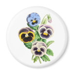 Fancy Pansies Vintage Illustration Fridge Magnets