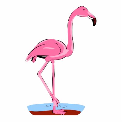 Fanny Flamingo Acrylic Cut Outs by BisforBirds