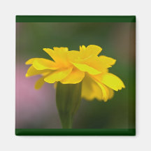 fantasies in yellow refrigerator magnets