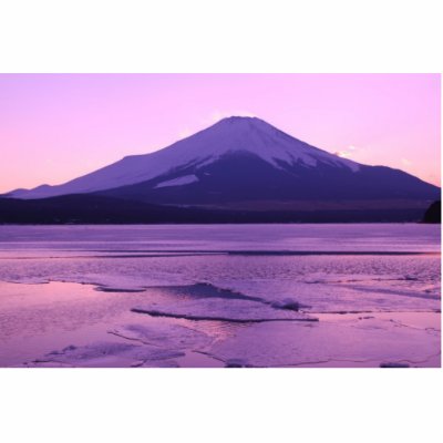 Fantastic Fuji Photo Sculptures by cooljapan