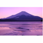 Fantastic Fuji photo sculptures