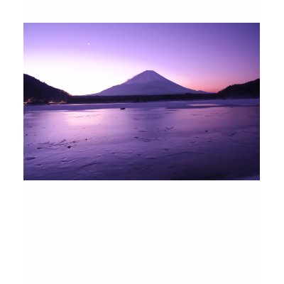 Fantastic Mt. Fuji Shirt by cooljapan