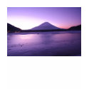 Fantastic Mt. Fuji t-shirts