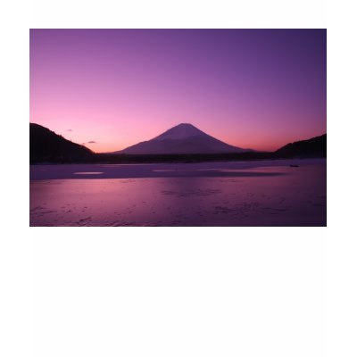 Fantastic Mt. Fuji T Shirts by cooljapan