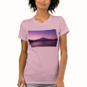 Fantastic Mt. Fuji t-shirts