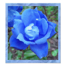 Fantasy Blue Rose Digital Print Wall Art Photographic Print