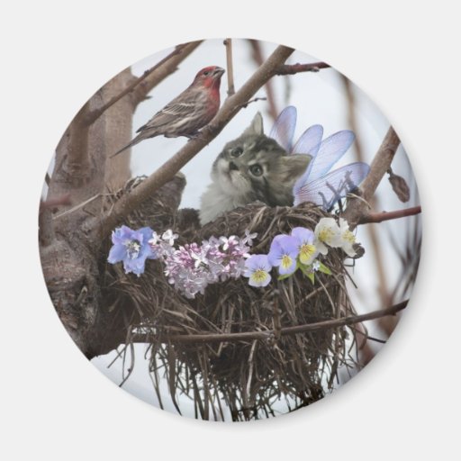 Fantasy fairy kitten and bird nest refrigerator magnets