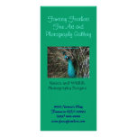Fantasy Feathers Peafowl business Rack Card rack cards