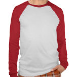 Fantasy Football T-Shirt t-shirts