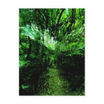 fantasy forest postcard