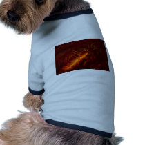 Fantasy Great Red Dragon Breathing Fire Dog Clothes
