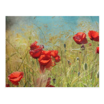 Fantasy poppies postal