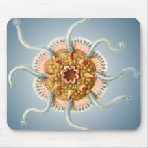 Fantasy Sea Urchin Mouse Pad