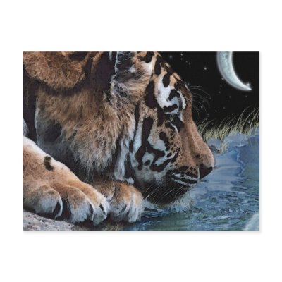 Fantasy Tiger & Moon Postcards by RavenSpiritPrints