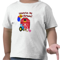 Farm 2nd Birthday Tshirts and Gifts