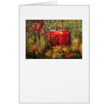 Farm - A pony grazing Cards