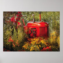 Farm - A pony grazing Print