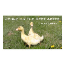 farm ducks business card templates