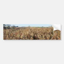 Farm Field in Autumn Bumper Sticker
