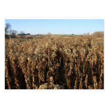 Farm Field in Autumn Business Card Template