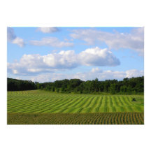 Farm field striped land farmer harvesting photo announcements