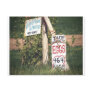 Farm Fresh Eggs Postcards