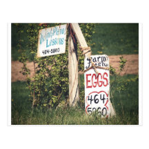 Farm Fresh Eggs Postcards