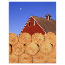 Farm in Iowa Flyer Design