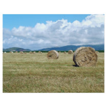 Farm landscape flyer design