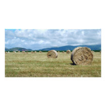 Farm landscape photo greeting card