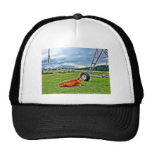 farm mesh hat
