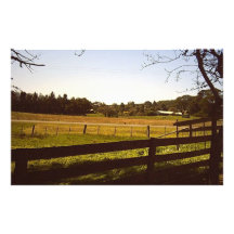 Farm Paddock Photographic Print