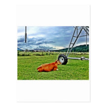 farm postcard