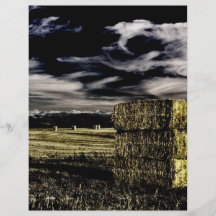 Farm with Hay Bales Full Colour Flyer