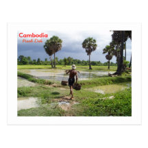 Farmer in his field at Preah Dak Post Card