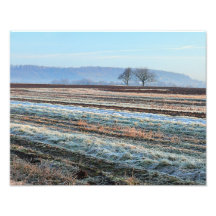 Farmer's Field, 11 x 14 Print Photographic Print