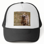 Farming goats trucker hat