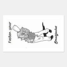 Fasten your straight jacket sticker