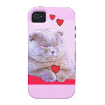 FAT CAT LOVE - IPHONE4 CASE CASE FOR THE iPhone 4