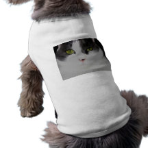 Fat Cat Pet Clothes