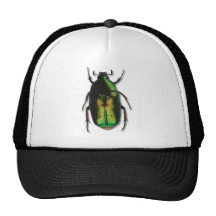 Fat green trucker hats