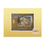 Fat roommate postcards