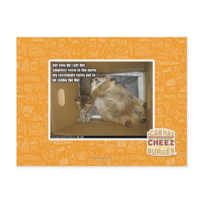 Fat roommate post cards by icanhascheezburger