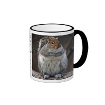 Fat Squirrel "Got Nuts?" Mug