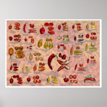 Fatalii's Splitted Chiles! Posters