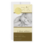 fatfatin Nesting Bird Family 4 Birth Announcement Photo Greeting Card